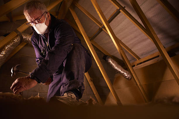 Best Insulation Maintenance and Repair in Benton, KY